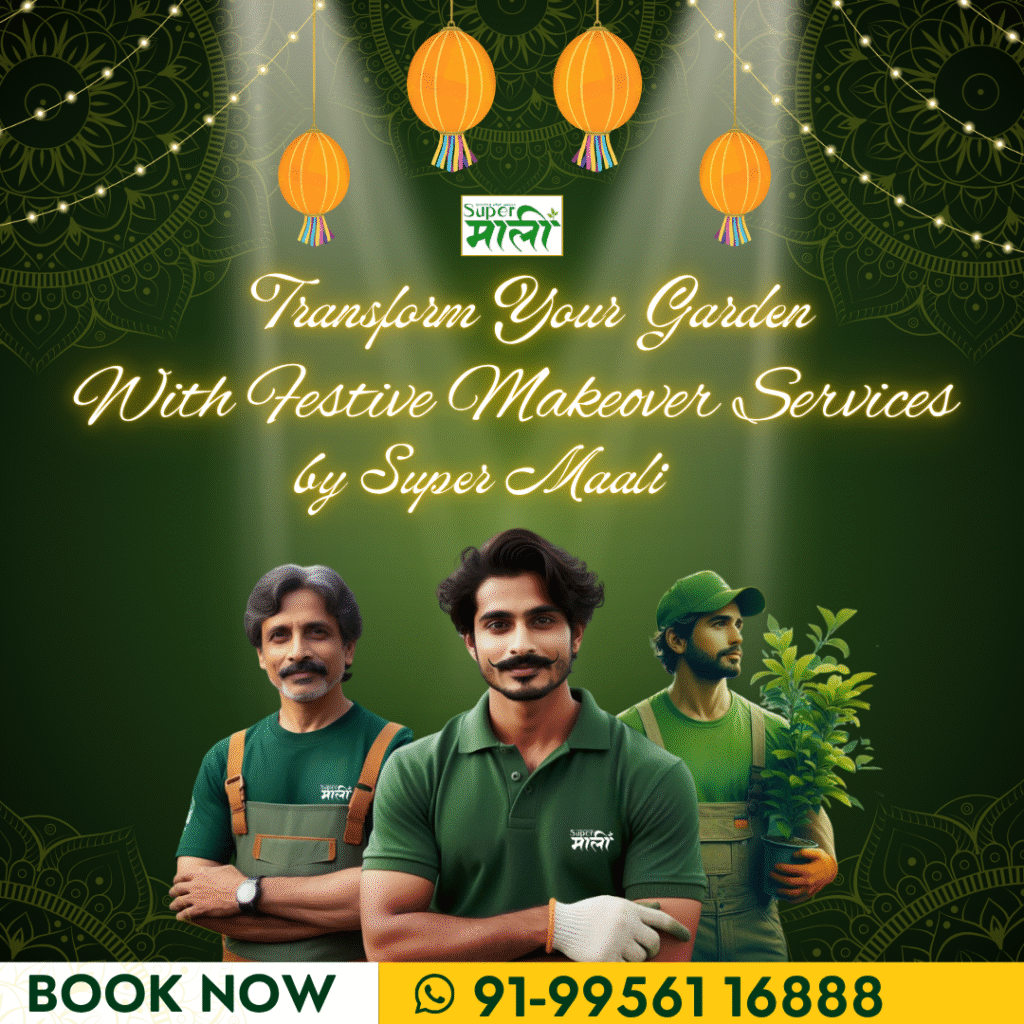 Festive Makeover Services for Your Garden This Diwali – By Super Maali